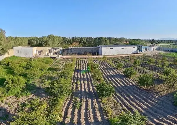 Ferme a Mzl. Bouzelfa