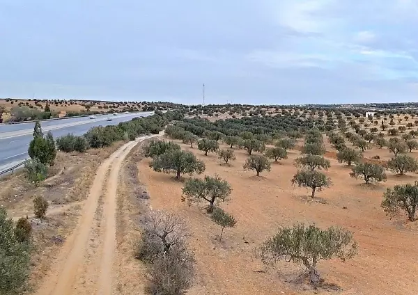 Lotissement à Hammamet