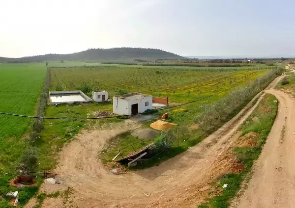 Terrain agricol à Jdaida