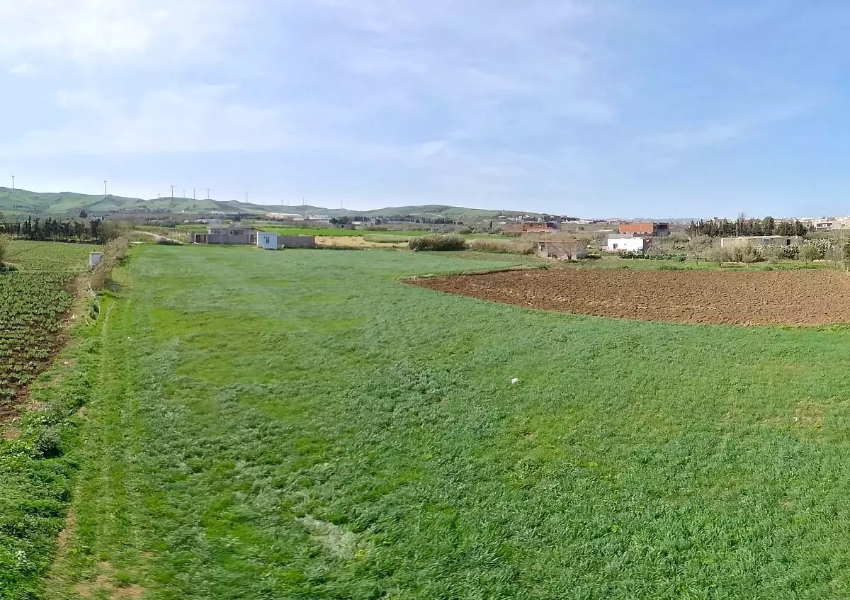 Terrain à Ras jbel