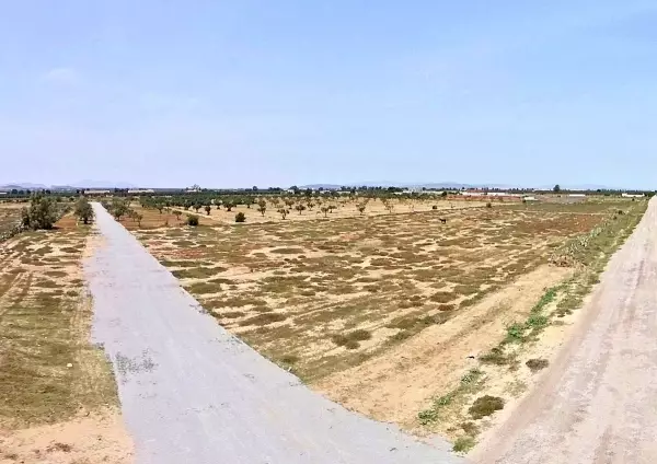 Lotissement à salloum