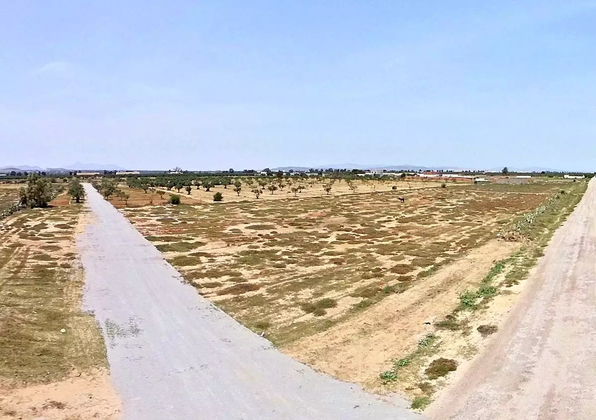 Lotissement à salloum