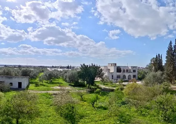 Terrain constructible