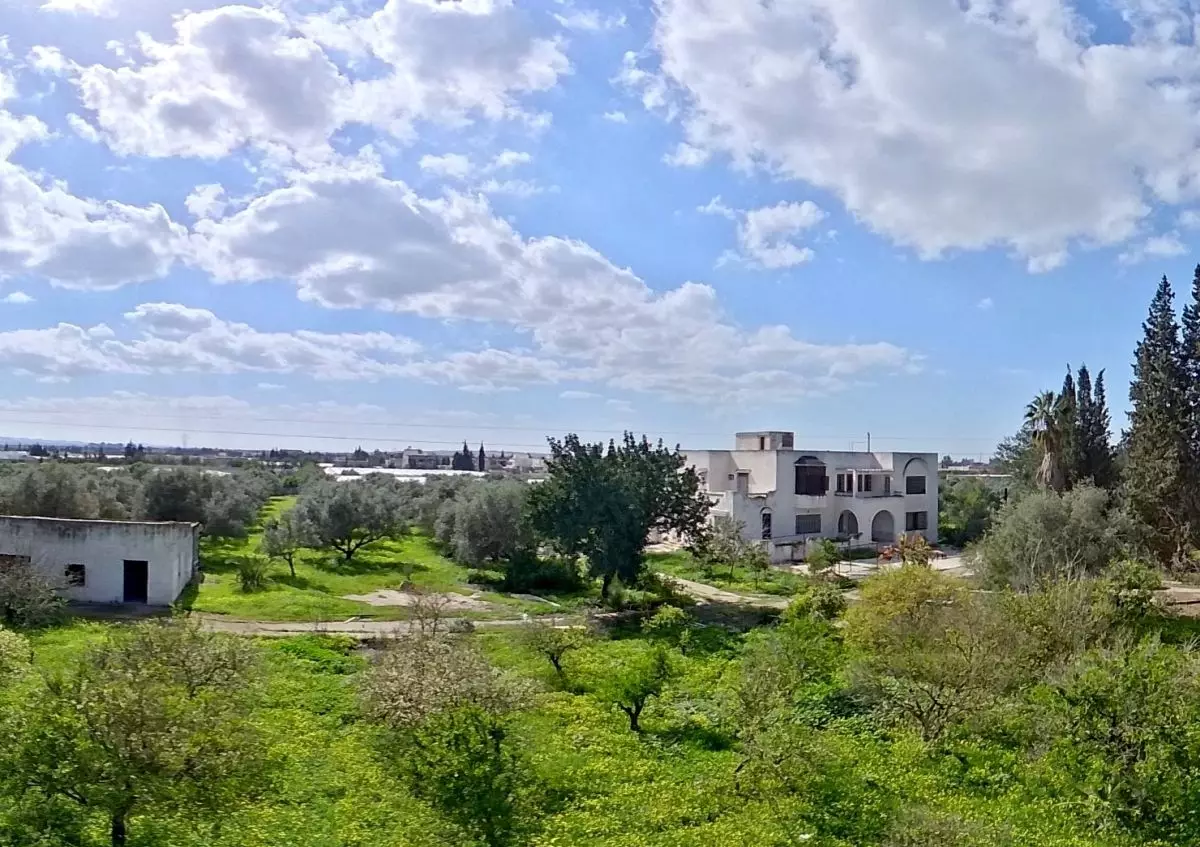 Terrain constructible