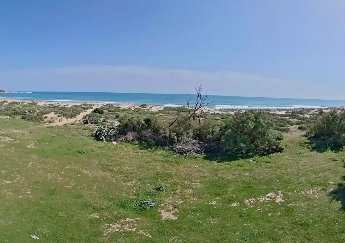 Terrain pied dan l'eau Nabeul