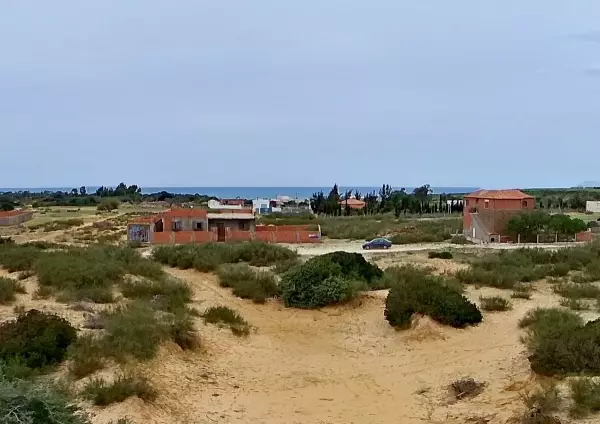 Terrain à Haouaria bir el jady