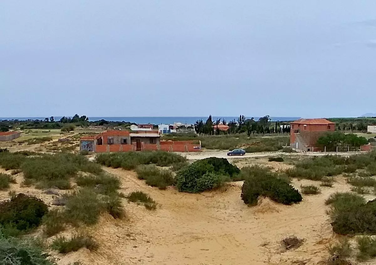 Terrain à Haouaria bir el jady